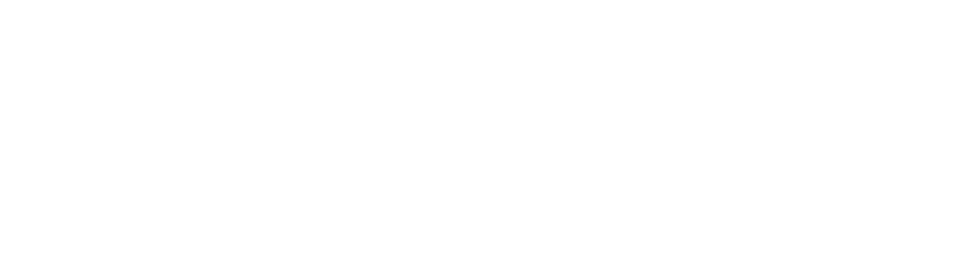 Rentability Solutions Logo White